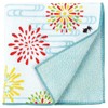 Hamamonyo Washed Towel Handkerchief, Firework Balls and Goldfish
