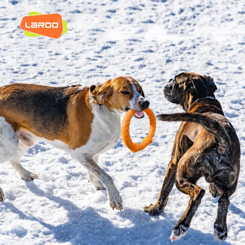 LaRoo Dog Flying Ring Toys, Floating Flying Dog Disc Toys,