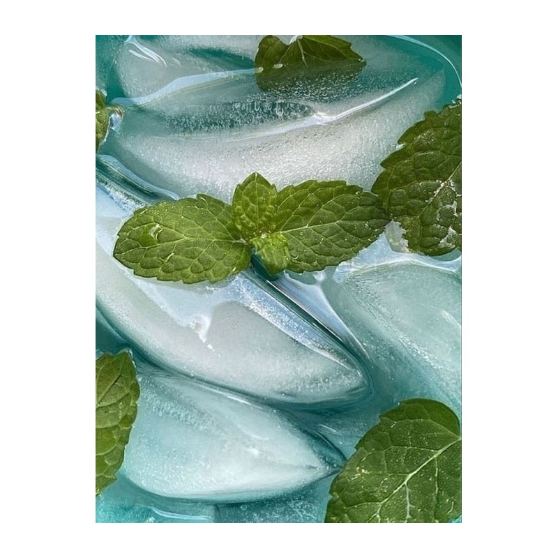 Mint Biome Scalp Deep Cleansing Shampoo 250ml / 민트 바이옴