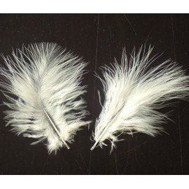 Marabou Feathers in Cream (Pk 30) Crafts, Costumes, Home Decoration, Weddings
