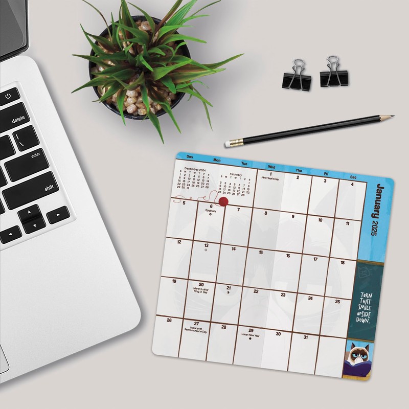 2025-2026 Grumpy Cat Pocket Planner