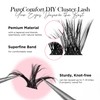 WINKGIGGLE Lash Clusters DIY Eyelash Extensions 56D Mega Volume, Individual