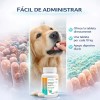 Probiótico Para Perro Probiotico En Tableta Masticable 60 Pz