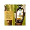 Shampoo Herbal Essences Bío:renew Leche De Coco - 865 Ml