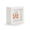 DEMDACO Wall or Tabletop Shadow Box, Everyday Home Décor, 4