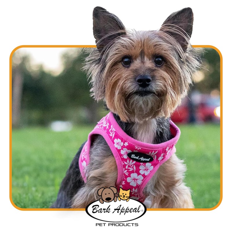Plaid Mesh EZ Wrap Harness (Blue, Small) by Bark Appeal