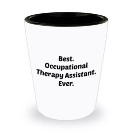 SpreadPassion Occupational Therapy Assistant Shot Glasses - Novelty Birthday Christmas Gag