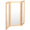 3 ft. Short Clear Plastic Partition Natural 3 Panel