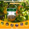 Wasp Traps for Hunting Wasps, Bees, Hornets, Insects, Yellow Jacket