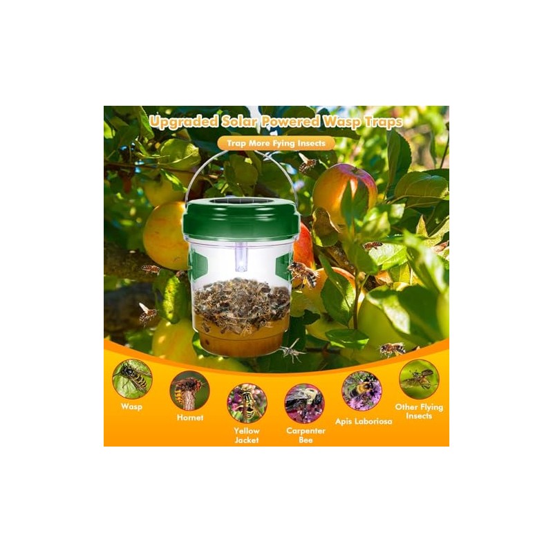 Wasp Traps for Hunting Wasps, Bees, Hornets, Insects, Yellow Jacket