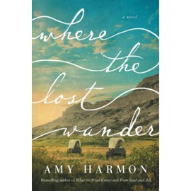 Where the Lost Wander: A Novel