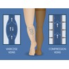 Premium CURANTIS Graduated Medical Compression Below Knee Stockings for Men