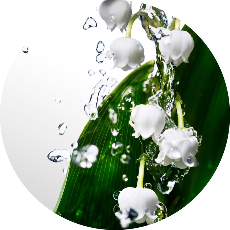 Davidoff Cool Water Eau de Toilette – Fresh Floral Women's