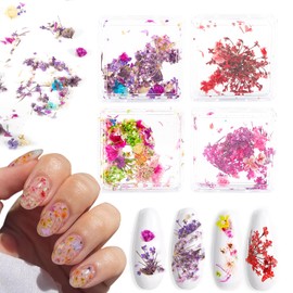 XEAOHESY 4 Boxes Real Natural Dried Flowers for Nails Tiny Flower Nail Art Stickers Colorful Dry Flowers for Nails(Color 1)