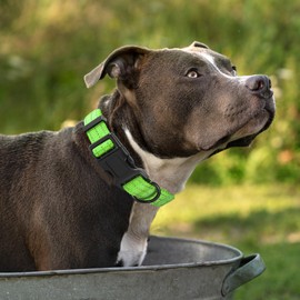 Mile High Life Dog Collar | Nylon Reflective Dog Collars | Light Weight Puppy Collars | Lime Green Dog Collars for Large Dogs (Solid Lime Green, Large)