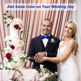 WOXVM Men's Bow Ties Solid Color Pre-Tied Bow Tie Satin Formal Tuxedo Bowtie Adjustable Neck Bowtie for Men Wedding Party (Royal Blue)