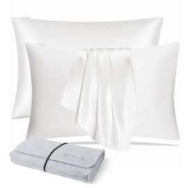 DISANGNI 100% Natural Mulberry Silk Pillow case for Hair and Skin with Hidden Zipper 22 Momme Both Sides Real Silk Pillow Case (2pc Standard Size 20"x26" White)