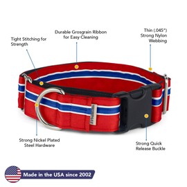 If It Barks - 1.5" Martingale Collar for Dogs - Quick Snap Release Buckle - Adjustable - Nylon - Strong and Comfy - Ideal for Training - Made in USA - Large, Patriotic