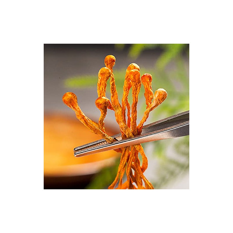 250g Cordyceps Flower Dried Cordyceps Flower (8.8oz) Stewed Soup with