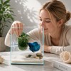 4 Pcs Hanging Aquarium Plant Holder with Feeders, Adjustable Height