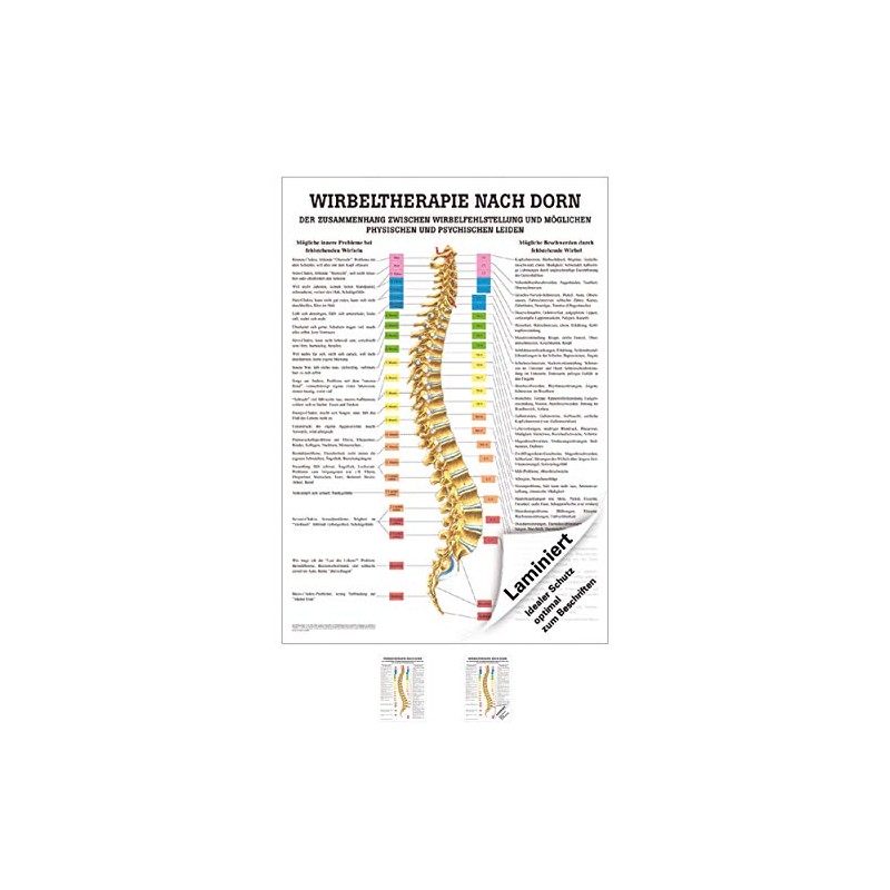 Bolt Mini poster Therapy Medical Educational Anatomy 34x24 cm mittel