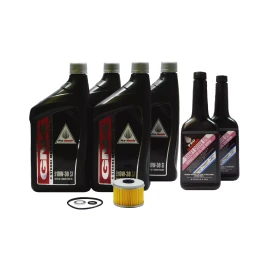 Honda 2012-2021 Honda Foreman 500 TRX500 FE FM FPE FPM 4x4 OEM Full Service Kit H118