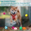 SCHITEC Dog Toy, Sound Noising, 9-Piece Set, Chew Toy, Stress