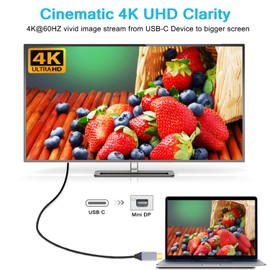 vienon 6FT USB C to Mini DisplayPort Cable, 4K@60Hz Type C to Mini-DisplayPort Cable Compatible with iPhone 15,MacBook Pro/Air/iMac/Surface etc (No Bi-Directional, Not for Thunderbolt 2)