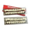 56 Pieces False Teeth Acrylic Resin Denture Tooth, Denture Tooth