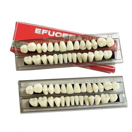 56 Pieces False Teeth Acrylic Resin Denture Tooth, Denture Tooth Replacement kit, Horror Teeth Prop DIY, 23 A2