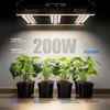 Barrina GrowForce BG02 LED Grow Light, 200W Full Spectrum with