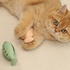 MeowAroma Cat Toys for Indoor Cats, Fish Shaped Chew Catnip