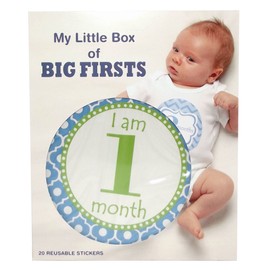 My Little Box Of Firsts Milestone Stickers