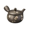 Ale-net Teapot Pot, 6.7 x 5.5 x 3.5 inches (17