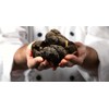 KIRA SEEDS - Black Truffle Mushrooms Spores - Heirloom -