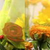 60 Pcs 5.9''×7.8'' Drawstring Fruit Netting Bags, Reusable Garden Netting