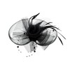Zac's Alter Ego Lace & Net Fascinator with Feathers on