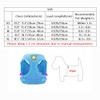 leconpet Step in Dog Harness, Vest Harness and Leash Set