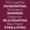 Plant Therapy Vein Aid Essential Oil Blend Pre-Diluted Roll-On 10