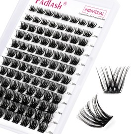 FADLASH Lash Clusters DIY Eyelash Extensions 96 Clusters Lashes D Curl 0.07 Natural Individual Lash Extensions Mixed Tray False Eyelashes Soft & Strong Thin Band DIY at Home (F29-0.07D, 8-16mm)
