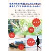 【指定第2類医薬品】液体ムヒアルファEX 35mL