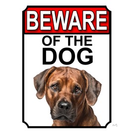 SHAWPRINT BEWARE OF THE DOG METAL GATE SIGN RHODESIAN RIDGEBACK 200MM X 150MM (1146H1)