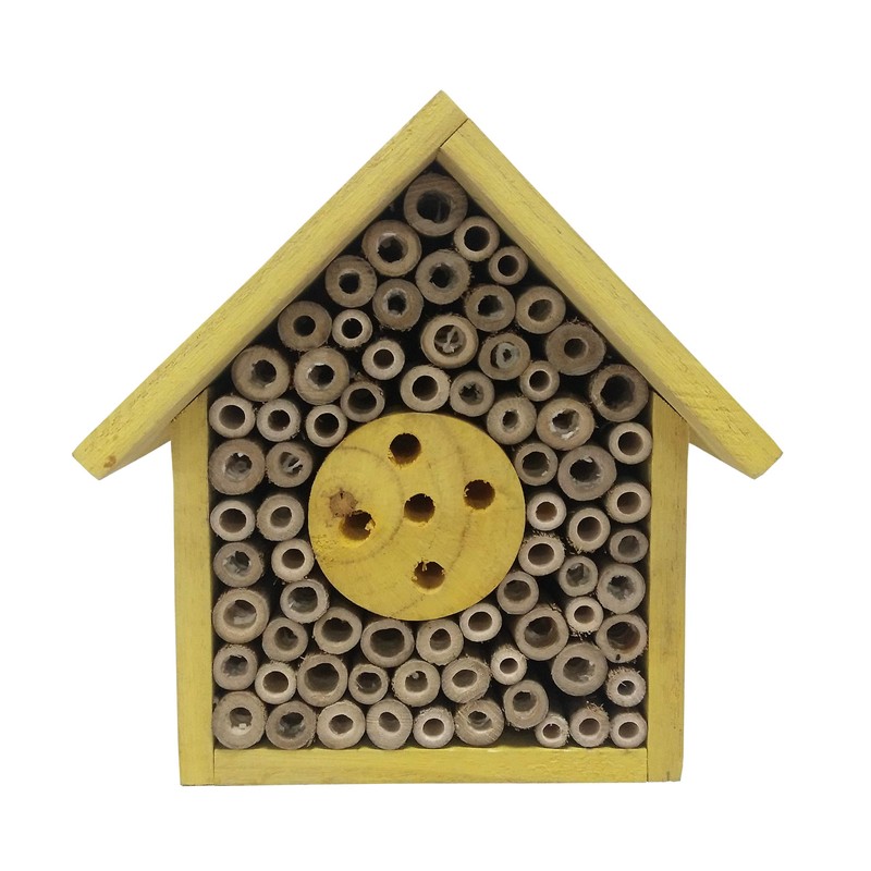 Gate 35 Bee Hotel