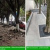 20ft x 24in x 60mil Tree Root Barrier for Landscaping