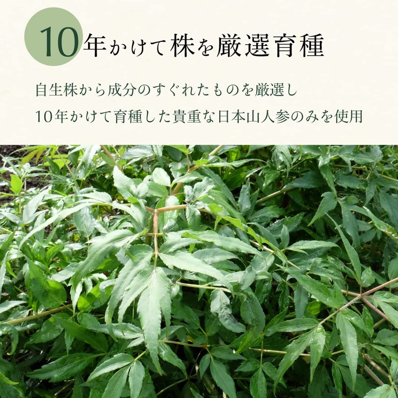 Japanese Mountain Carrot, Hyuga Toki, Powder, 3.5 oz (100 g)