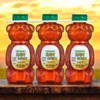 Organic Raw Honey, 2-Pack (72 oz Each – 3 Bottles