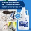 Unique Carpet Shampoo & Stain Remover, 128 oz - Pet