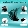 Individual Eyelashes, 80D/100D DIY Cluster Eyelashes, 0.07 D Curl, 10-18