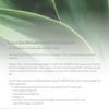 hyapur® - Green Fluid 30 ml - The light moisturiser