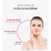 Judako Judaco Tool Salmon Cream Dicell DNA DNA Cream 50ml